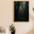 Caminho da Floresta - comprar online