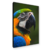 Majestade Tropical – Arara Azul e Amarela - comprar online