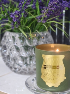 Vela Aromática Capim Limão e Alecrim - comprar online