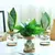 Decoração Sofisticada: Mini Terrário de Vidro para Plantas Sem Solo - Elegân - comprar online