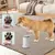 Lava Pet: Lavador Elétrico de Patas para Animais de Estimação