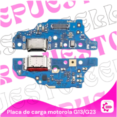 Placa de carga G13 - comprar online