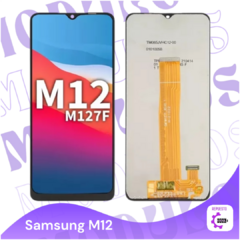 Modulo M12