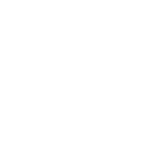 PEONIA STORE