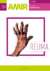 22 Manuales AMIR 12.a Edicion (Digitales)