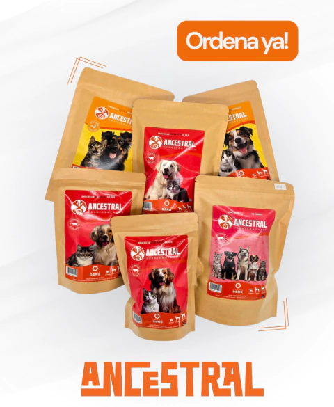 Imagen del carrusel Dominio del Rey