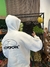 Imagen de Primer Drop, Hoodie Cóndor