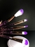 Set de Brochas x5
