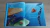 Procurando Nemo - Livro Disney - comprar online