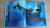 Procurando Nemo - Livro Disney - loja online