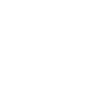 Sousx Store