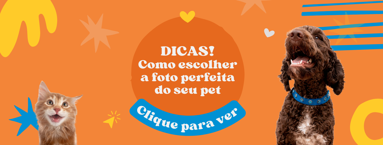 Carrossel 4