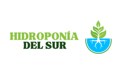Banner de la categoría DWC