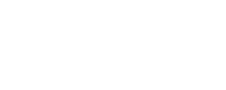Van E Guitars