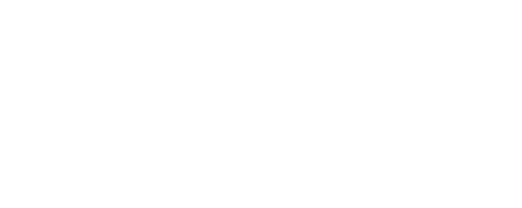 Van E Guitars