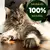 Receita Especial Gatos Castrados Adultos Carne e Frango - comprar online