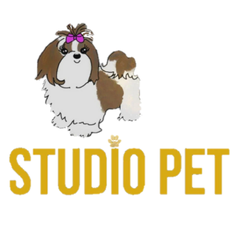 Studio Pet