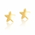 Brinco Estrela Infantil - Folheado - comprar online