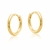 Brinco Argolinha Lisa - P e PP - Folheado a Ouro 18k
