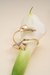 Bracelete Florescer - Banho de Ouro 18k na internet