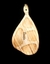Imagen de Tablas De Madera
