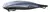 CORTADORA DE PELO GAMA GM562 (BECCP493) - comprar online