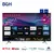 TELEVISOR BGH 32 VIDAA (B3223H5) en internet