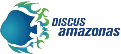 Discus Amazonas