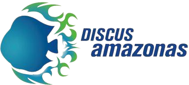 Discus Amazonas
