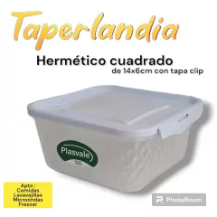 Hermetico cuadrado cristal plasvale 1lt