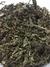 Stevia