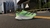 Adidas Adizero Adios Pro 3 Green Spark - Noc Brazil 