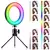 Ring Light de Mesa 6 Polegadas + Tripé De 16 Cm Blogueira Portátil Luminária De Led - loja online