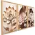 Quadros Decorativos Flor Tulipa Branca Dourada 3 Peças Mosaico Sala Quarto Escritório - loja online