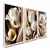 Kit 3 Quadros Decorativos Tulipas Brancas Douradas Ouro Mosaico Sala Quarto Escritório na internet