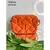 Bolsa Santa Lolla Lola Tiracolo Feminina Transversal de Ombro - loja online