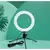 Ring Light de Mesa Blogueira Portátil Luminária De Led 6 Polegadas + Tripé De 16 Cm Right - RTK7 LTDA