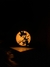 Caja de luz Goku Dragon Ball personalizada con nombre - ORACULO3D