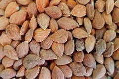 Banner de la categoría ALMENDRAS GUARA 