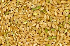 Banner de la categoría ARROZ YAMANI 