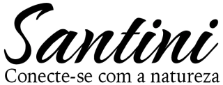 Santini