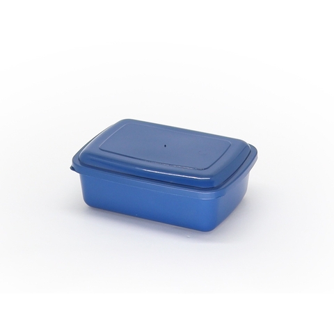Pote Retangular 1000ml - Kit com 30 unidades | Ref.: 106
