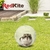 Imagen de REDKITE ESFERA EJERCITADORA TRANSPARENTE PARA HAMSTER