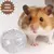 REDKITE ESFERA EJERCITADORA TRANSPARENTE PARA HAMSTER