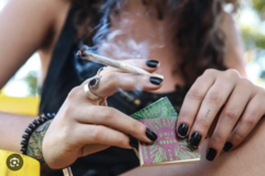 Banner da categoria Piteria