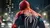 Marvel Spider Man 2 Ps5 - fisico en internet