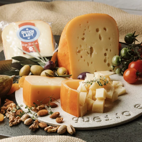 Queijo Gouda DuchLady 12M - comprar online