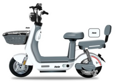 MOTO ELETRICA ADULTO 500W YALA - Yala Motor