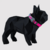 Coleira Para Cachorro Pink - comprar online