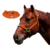 Kit Cabresto Liso + Rédea Laranja Boots Horse